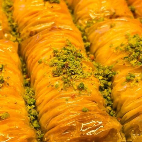 IMG-20221115-WA0037 IMG-20221115-WA0037