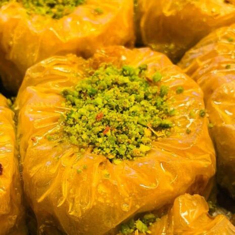 IMG-20221115-WA0052 IMG-20221115-WA0052