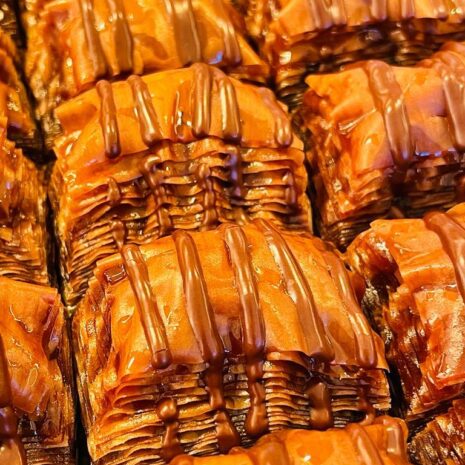 IMG-20221115-WA0054 IMG-20221115-WA0054