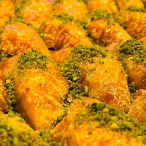 IMG-20221115-WA0055 IMG-20221115-WA0055