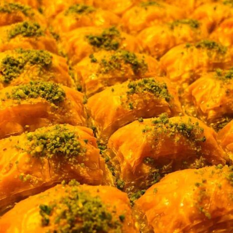 IMG-20221115-WA0059 IMG-20221115-WA0059